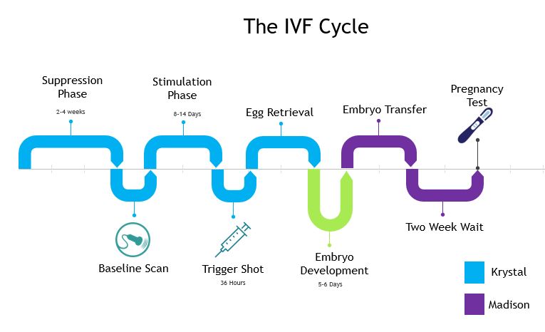 ivf